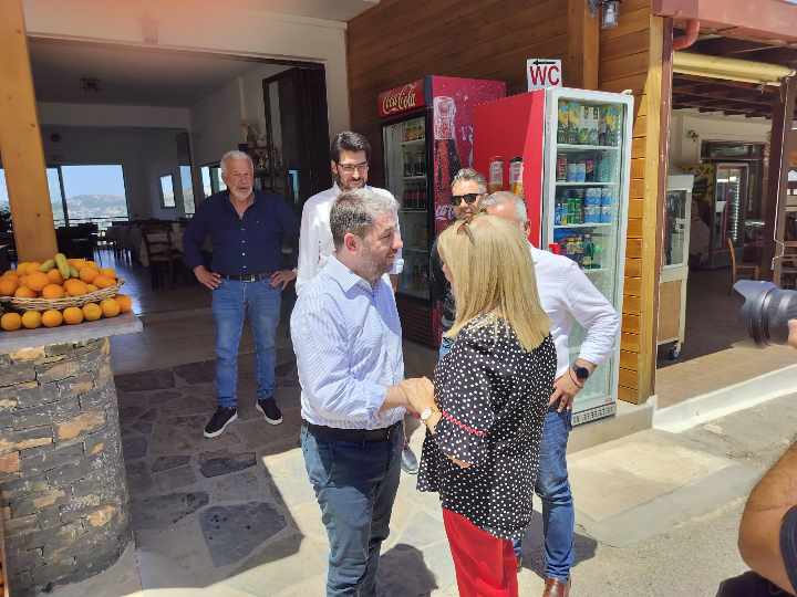 Νίκος Ανδρουλάκης