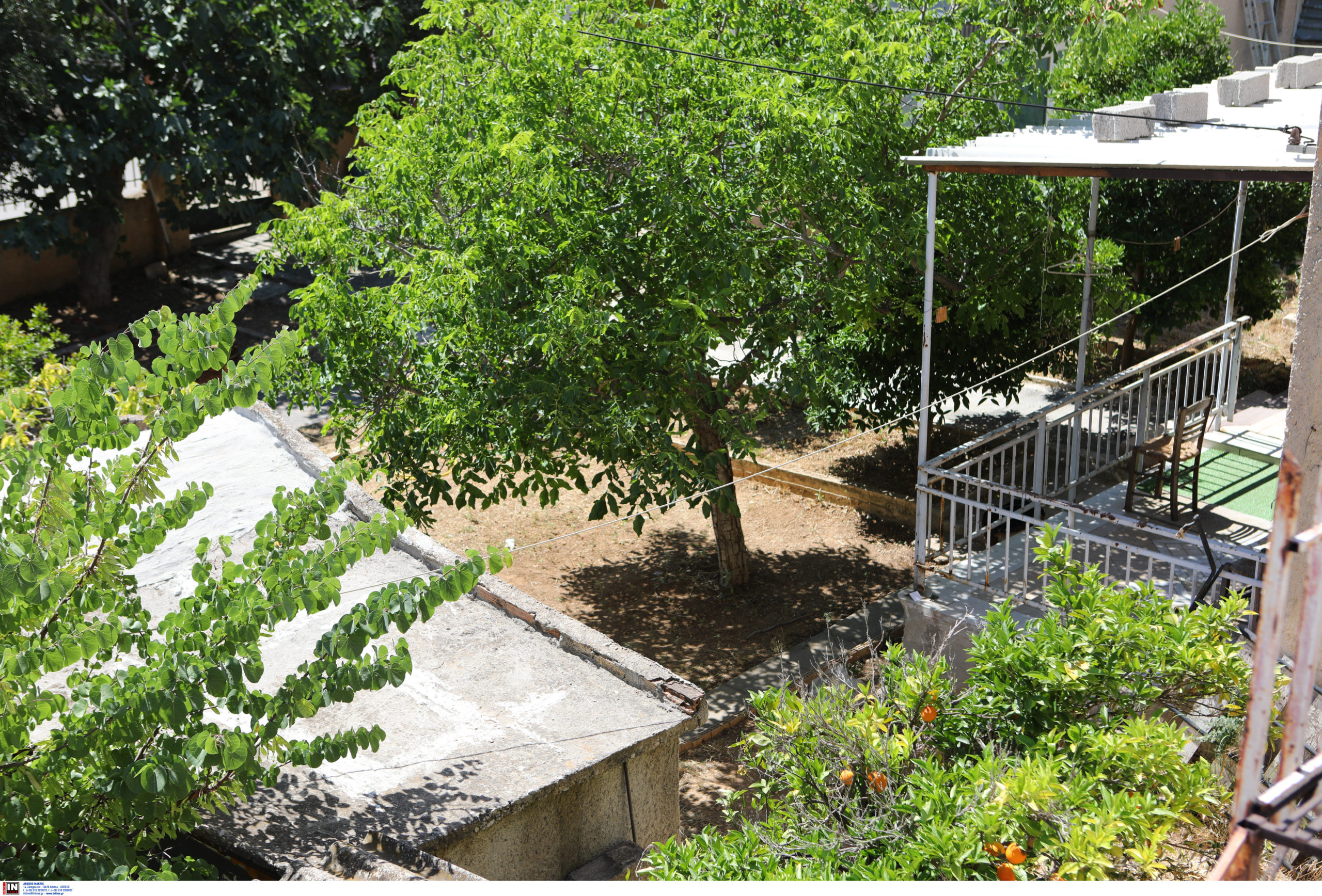 Άνω Λιόσια: Νέα στοιχεία για το θρίλερ με τον απανθρακωμένο ηλικιωμένο – Τα μακάβρια ευρήματα σε κάδο απορριμμάτων