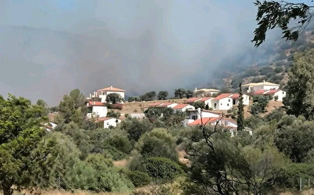 Φωτιά στην Αργολίδα: Νέο μήνυμα του 112 για εκκένωση της Δάρδιζας