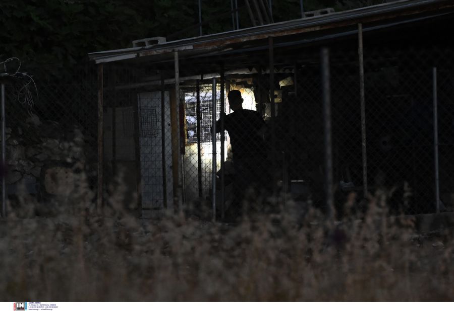 Διόνυσος δολοφονία