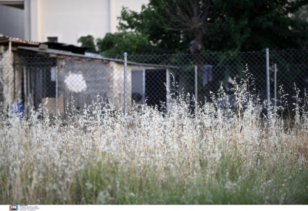 Διόνυσος δολοφονία