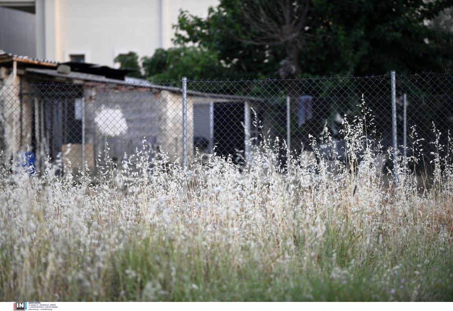 Διόνυσος δολοφονία