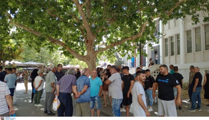 Ηλεία δολοφονία