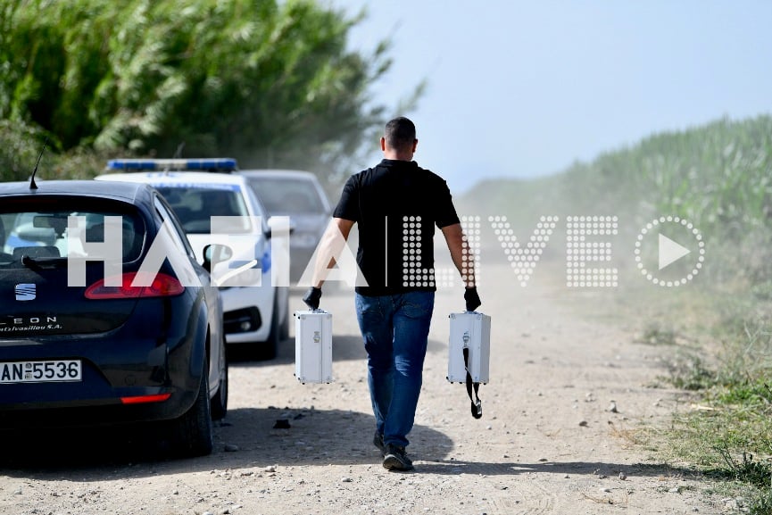 Δολοφονία Ηλεία