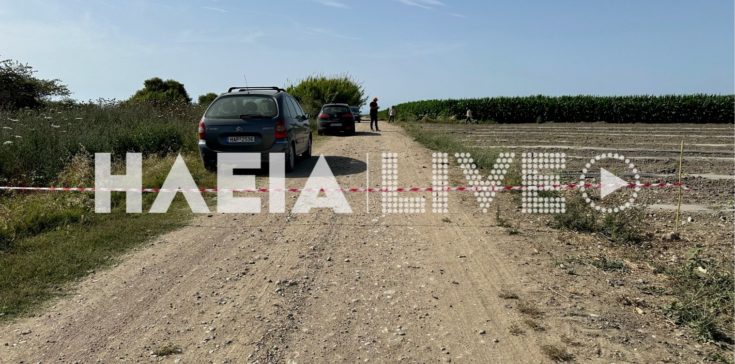 δολοφονία Ηλεία 11χρονη