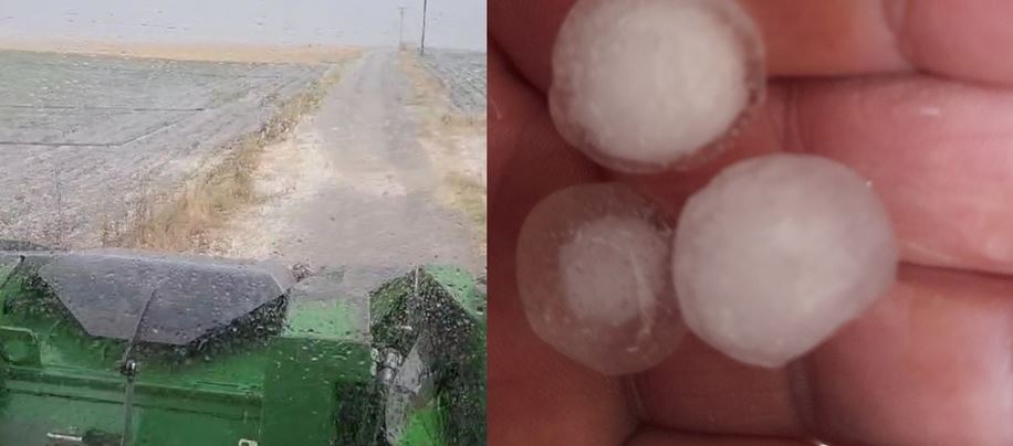 Έβρος: Καταστροφές σε καλλιέργειες από χαλάζι σε μέγεθος καρυδιού – ΒΙΝΤΕΟ