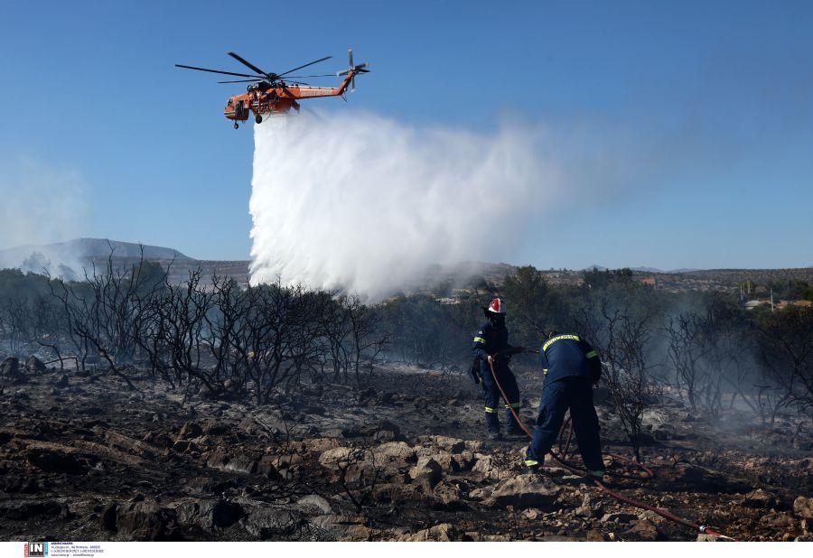 Φωτιά στη Βάρης – Κορωπίου: Τι δείχνει το βίντεο που κατέγραψε τις κινήσεις του εμπρηστή – Σε επιφυλακή οι Αρχές