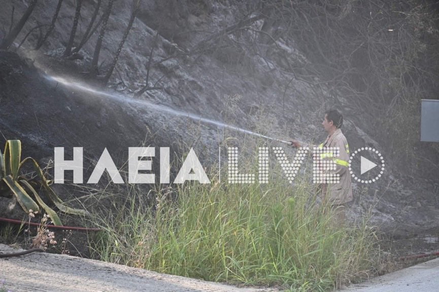 Φωτιά στην Ηλεία