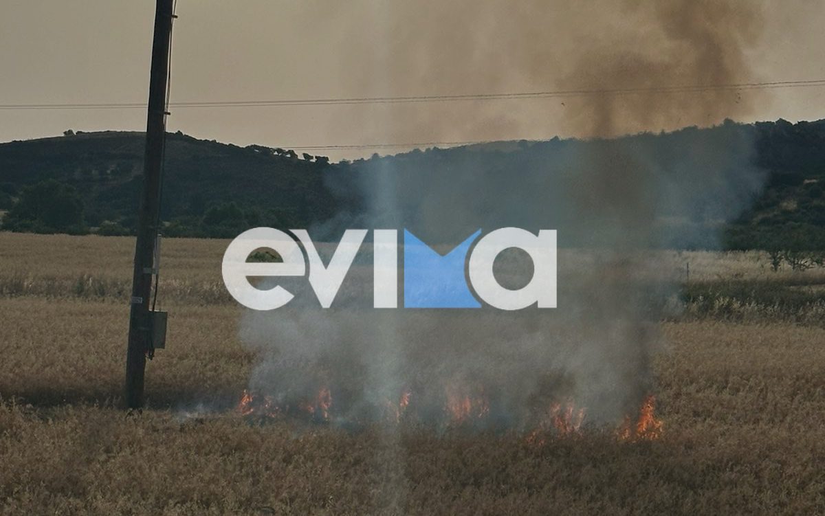 Φωτιά στην Εύβοια κοντά σε κεντρικό δρόμο – ΒΙΝΤΕΟ