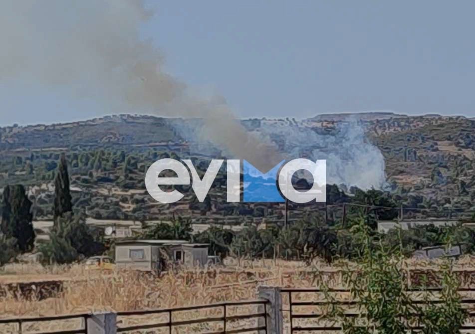 Φωτιά Εύβοια