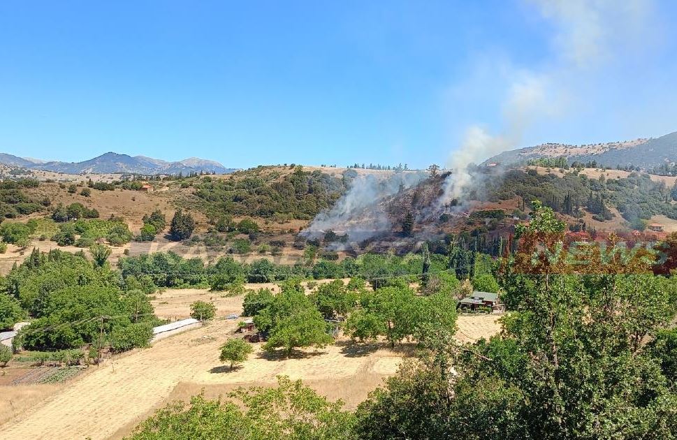 Οριοθετήθηκε η φωτιά στο Δροσάτο Καλαβρύτων Αχαΐας