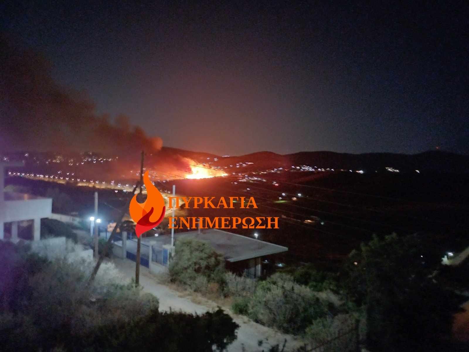 Μεγάλη φωτιά στην Κερατέα – Ισχυρές πυροσβεστικές δυνάμεις στο σημείο – Βίντεο