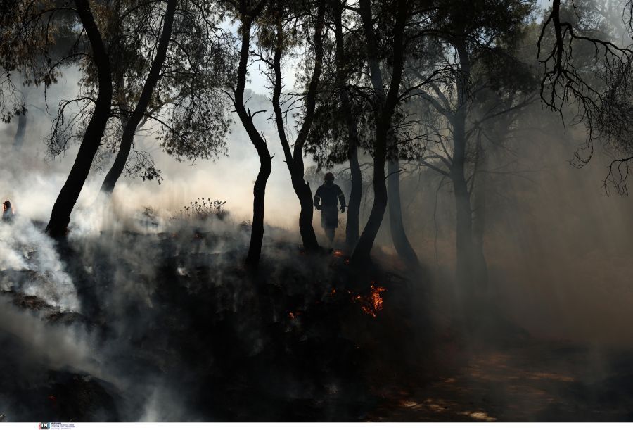 Ζάκυνθος: Χειροπέδες σε άνδρα για δύο εμπρησμούς – Είχε συλληφθεί και στο παρελθόν