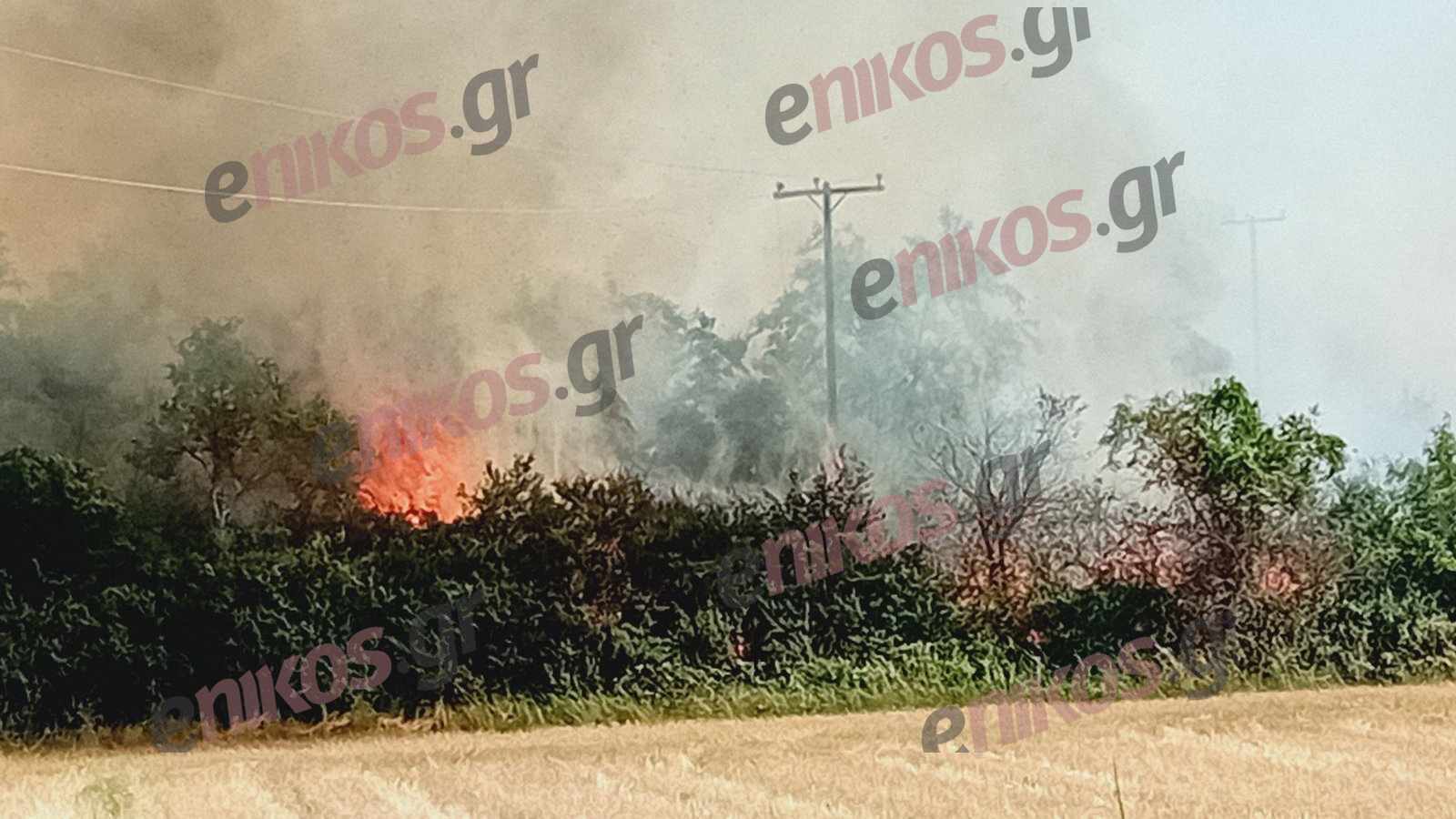 Έβρος: Χωρίς ενεργό μέτωπο η φωτιά σε αγροτοδασική έκταση στην Κορνοφωλιά – Δείτε βίντεο