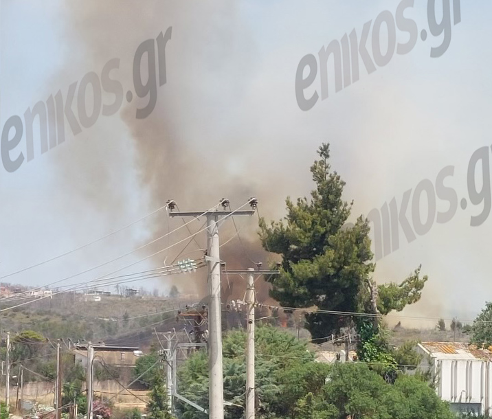 Κρυονέρι: Η φωτιά εντοπίστηκε με drones που επιτηρούσαν την περιοχή – Μάχη να μην επεκταθεί