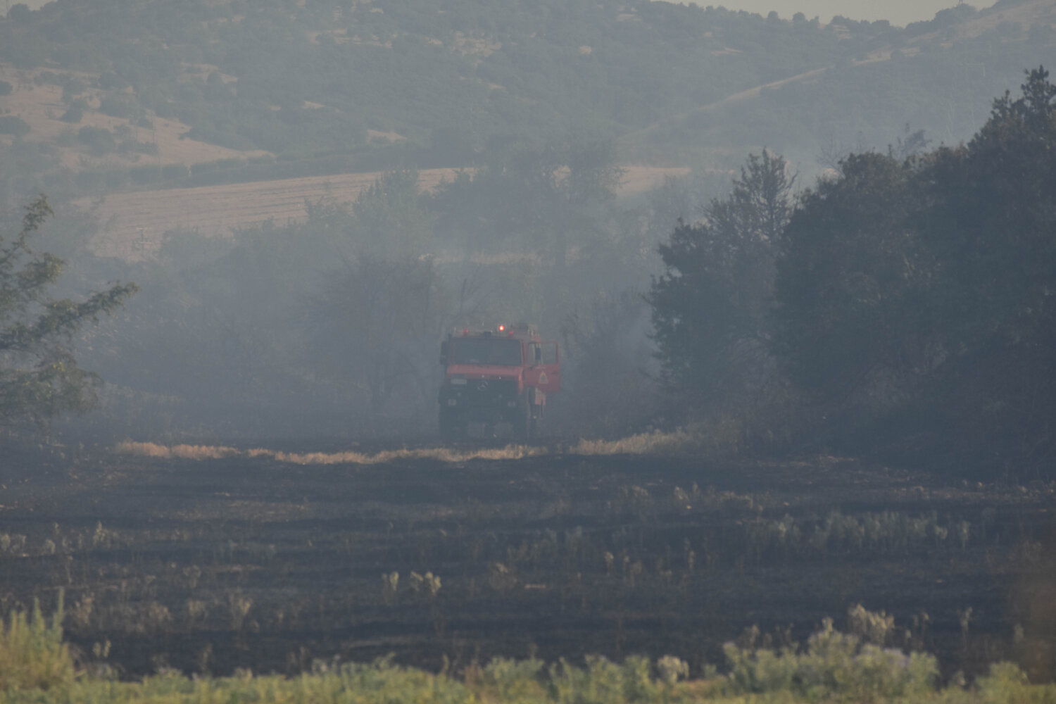 Φωτιά στη Λάρισα: Μάχη με τις φλόγες σε τρία πύρινα μέτωπα – ΒΙΝΤΕΟ
