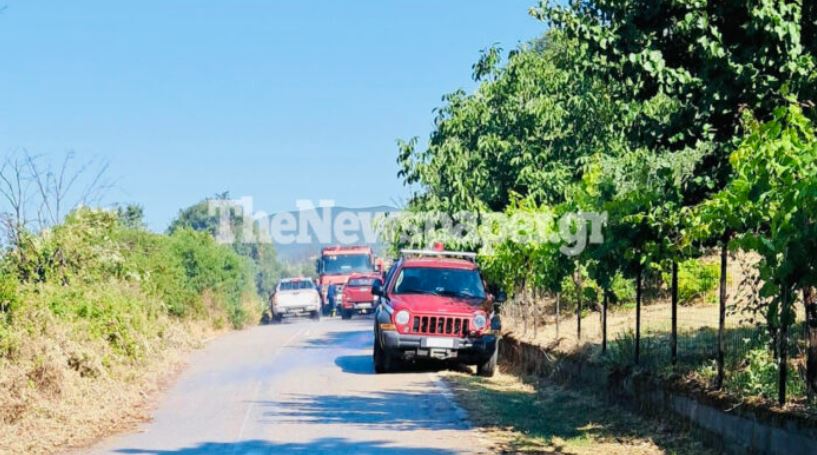 Φωτιά στην Μαγνησία: «Σωθήκαμε την τελευταία στιγμή» περιγράφει κάτοικος της Γαύριανης