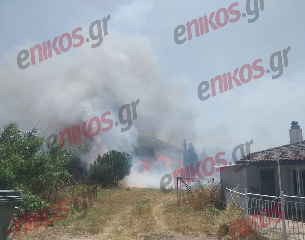 Φωτιά Νεοχώρι Μελιγαλά