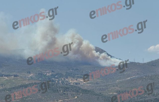 φωτιά στην Πάρνηθα