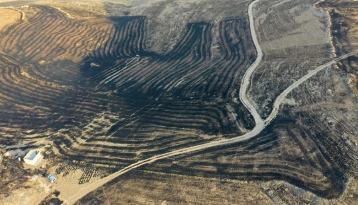 φωτιά Τουρκία