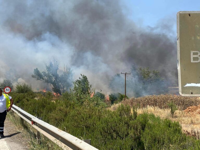 Φωτιά στην Τρίπολη