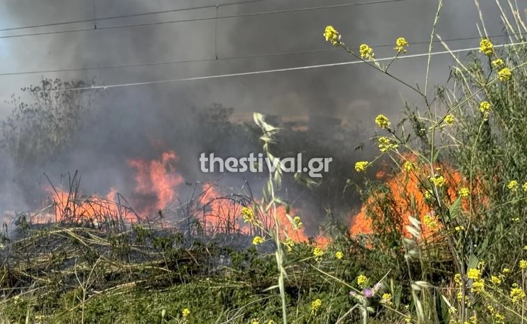 Θεσσαλονίκη: Καλύτερη η εικόνα από την φωτιά στη Βόλβη – «Οι φλόγες έφτασαν 500 μέτρα έξω από τον οικισμό Λίμνη»