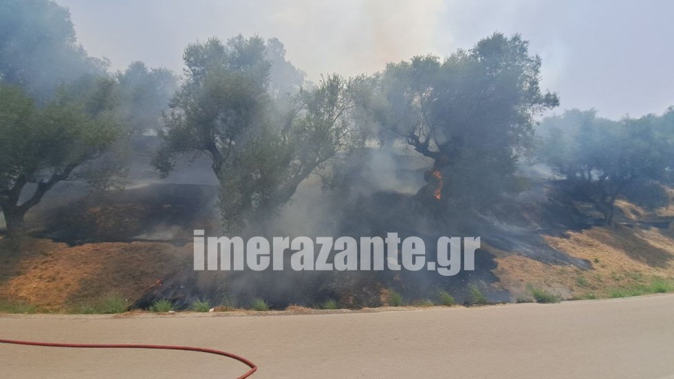 Φωτιά σε αγροτοδασική έκταση στη Ζάκυνθο – Σηκώθηκαν εναέρια μέσα