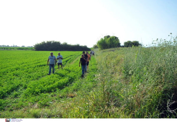 Ηλεία Δολοφονία