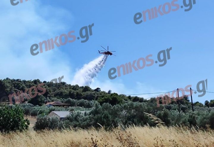 Φωτιά στην Εύβοια: Μήνυμα από το 112 – Εκκενώνεται η περιοχή Ακτή Βολέρι – ΦΩΤΟ αναγνώστη