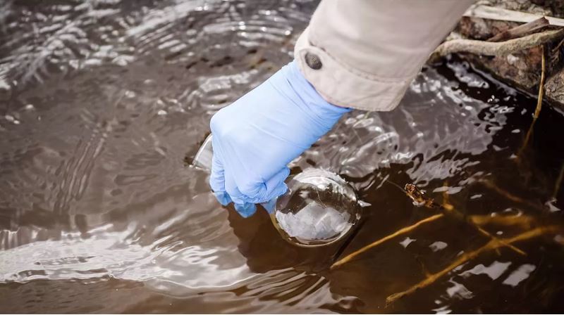 νερό- σαλμονέλα