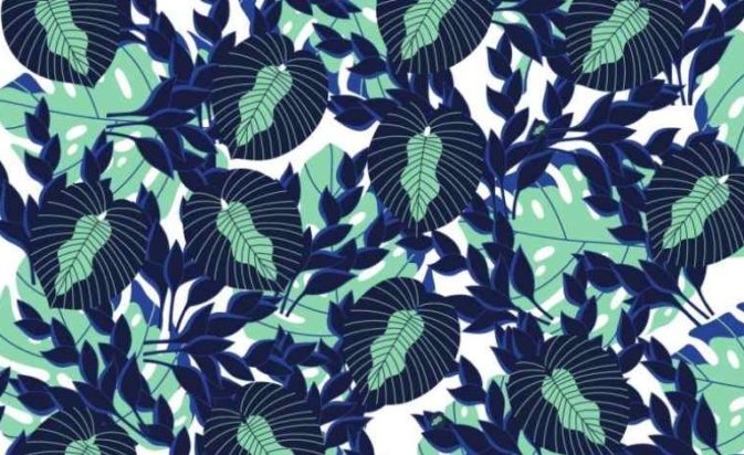 Οπτική ψευδαίσθηση