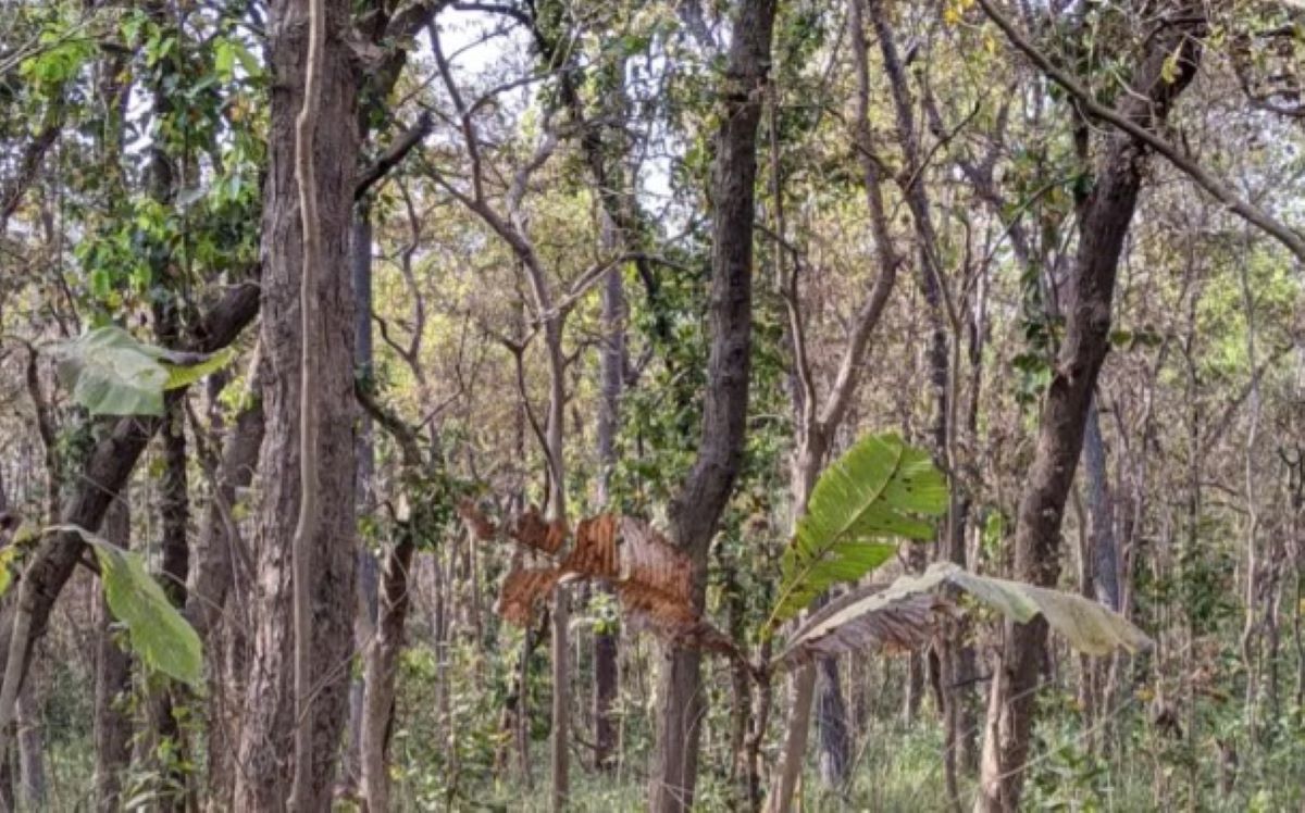 Οπτική ψευδαίσθηση
