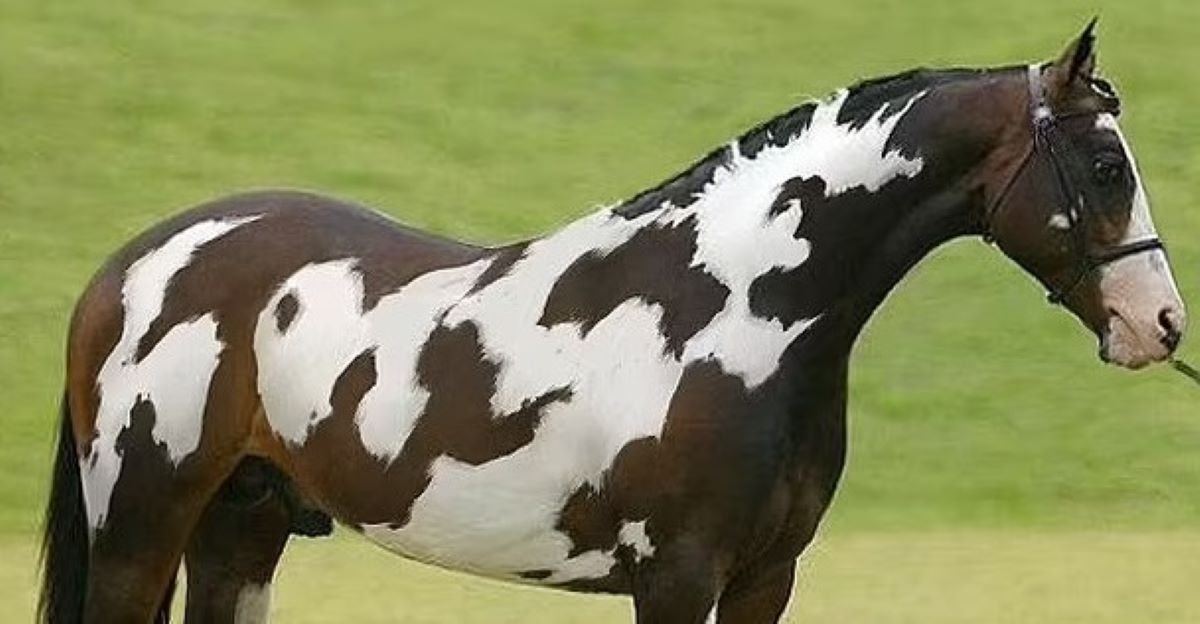 Οπτική ψευδαίσθηση