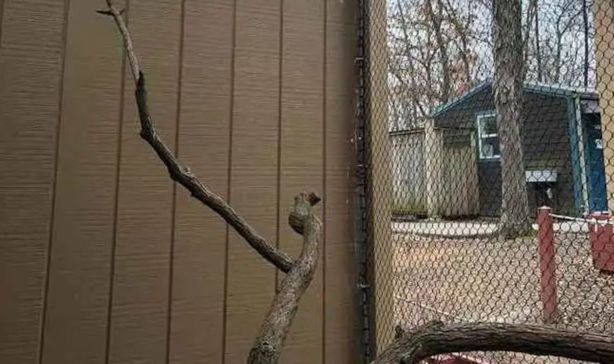 Οπτική ψευδαίσθηση