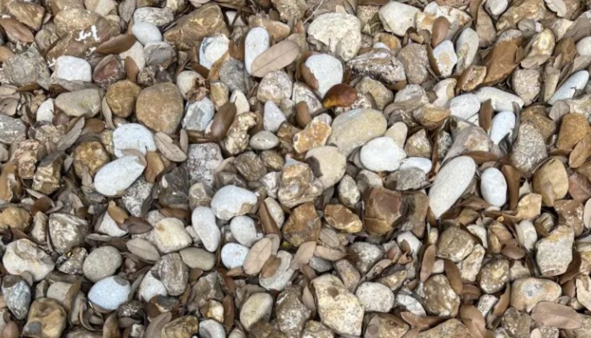 Οπτική ψευδαίσθηση