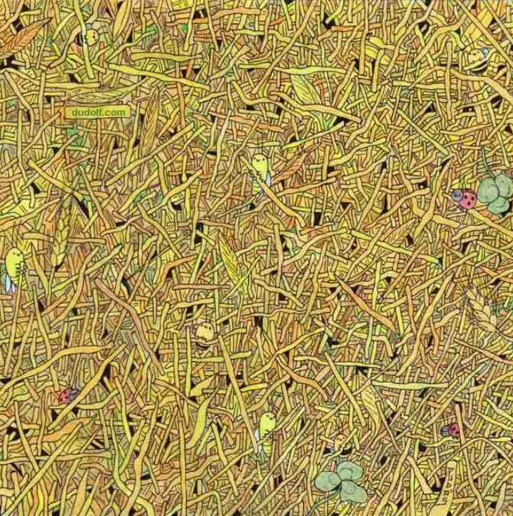 Οπτική ψευδαίσθηση