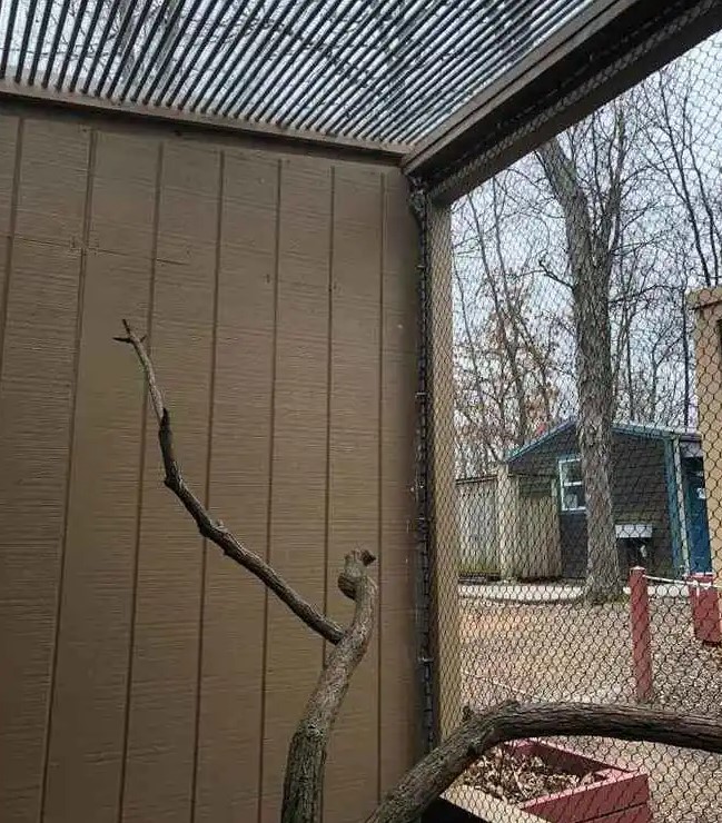 Οπτική ψευδαίσθηση