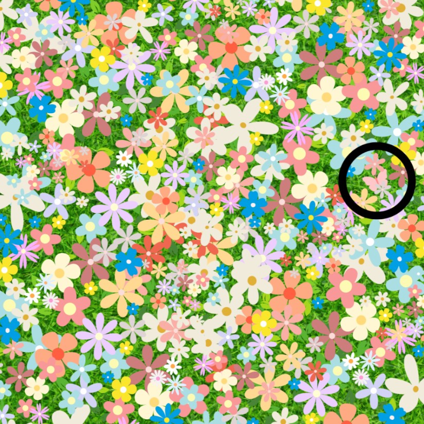 Οπτική ψευδαίσθηση