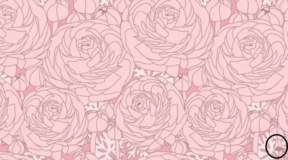 Οπτική ψευδαίσθηση