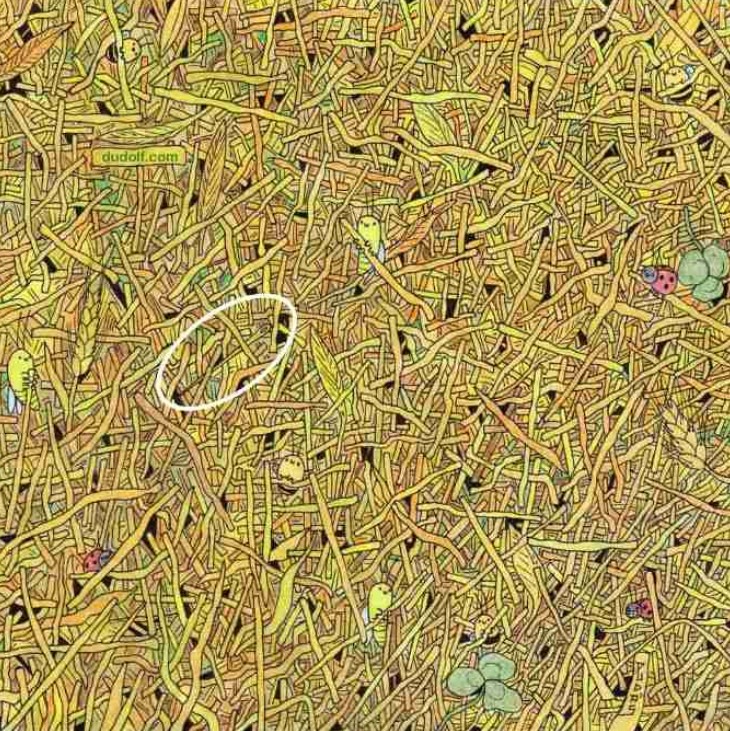 Οπτική ψευδαίσθηση