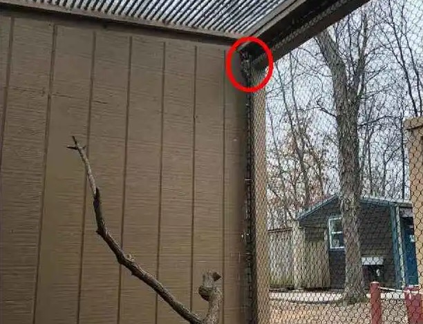 Οπτική ψευδαίσθηση