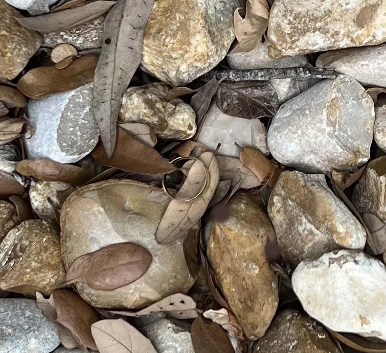 Οπτική ψευδαίσθηση