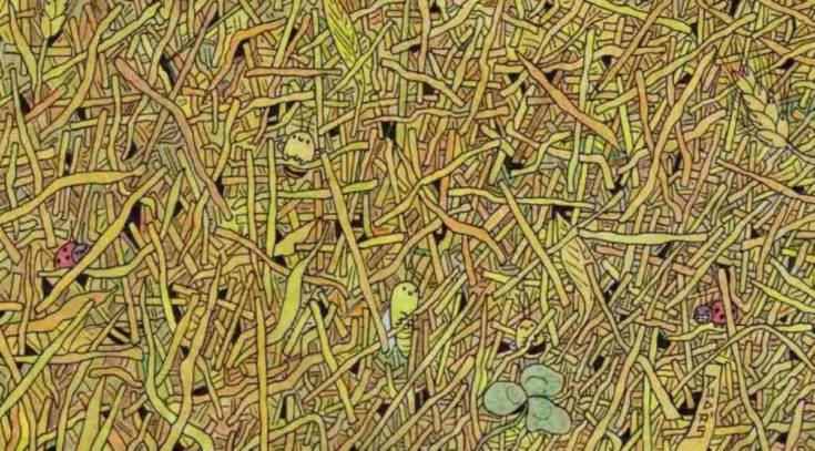 Οπτική ψευδαίσθηση