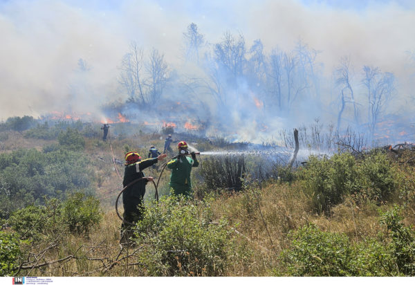 Φωτιά Πάρνηθα