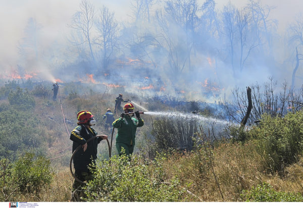 Φωτιά Πάρνηθα