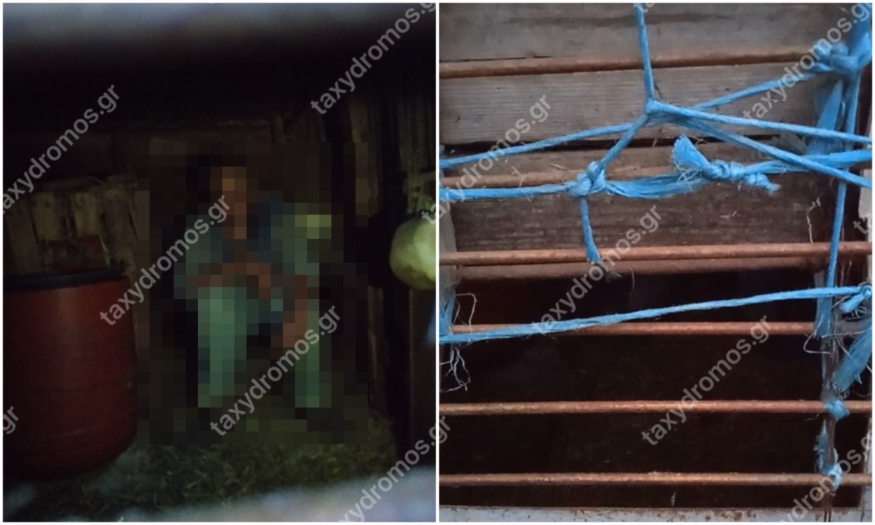 Πήλιο: Νέα στοιχεία για τον 45χρονο ΑμεΑ που εντοπίστηκε κλειδωμένος σε μαντρί – Οι εκκλήσεις για «βοήθεια» και τα χτυπήματα
