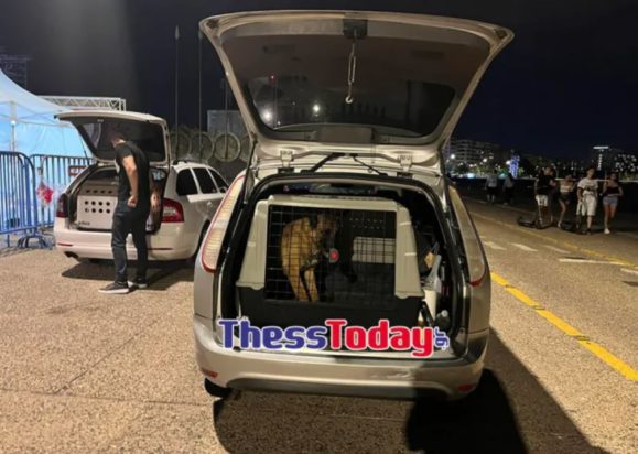 Θεσσαλονίκη