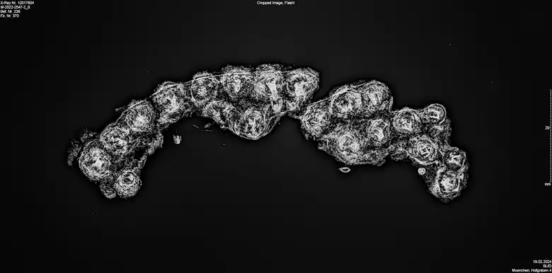 Η ανάλυση με ακτίνες Χ επιβεβαίωσε ότι πρόκειται για την σόλα ενός ρωμαϊκού σανδαλιού με καρφιά.