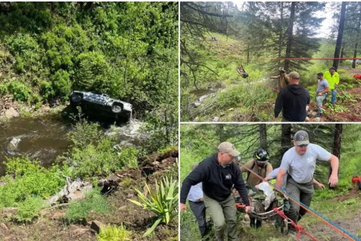 Σκύλος έτρεξε 6,5 χλμ. για να βρει βοήθεια για τον ιδιοκτήτη του έπειτα από τροχαίο – Πέρασε τη νύχτα παγιδευμένος στη χαράδρα