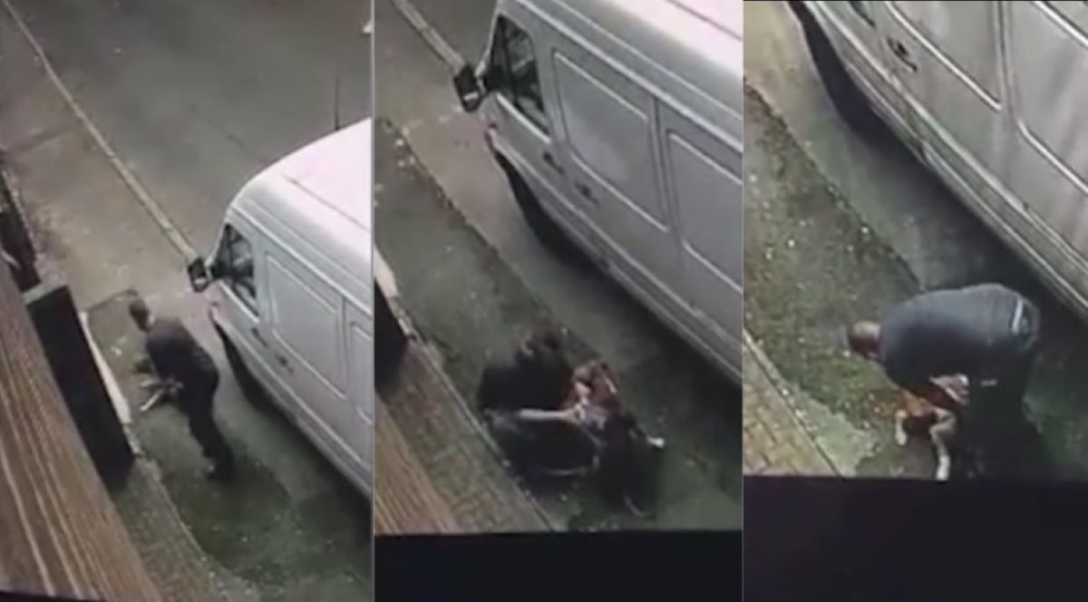 Άνδρας επιτίθεται και ξυλοκοπεί τον σκύλο του – Βίντεο